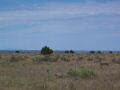 Capulin Volcano in the distance.jpg